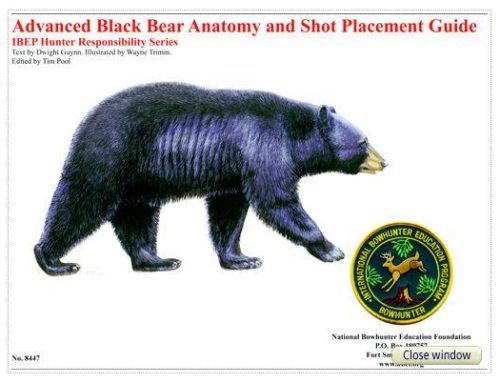 Improve Bowhunting Precision With  NBEF’s Black Bear Shot Placement Aids