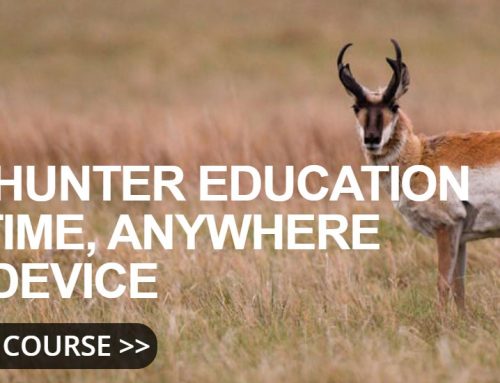 Take A Bowhunter or Crossbow Ed Class – In-Person or Online