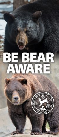 “Bear Aware” Pamphlet Offered by National Bowhunter Education ...