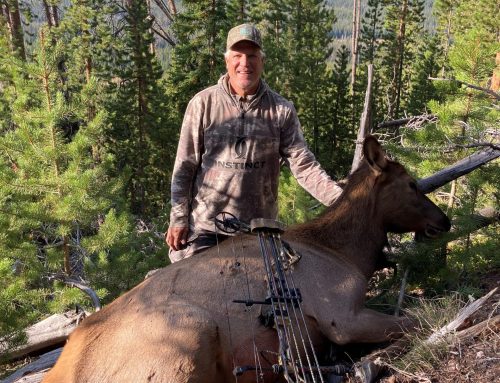 Steve Hall Rejoins National Bowhunter Education Foundation  Board of Directors