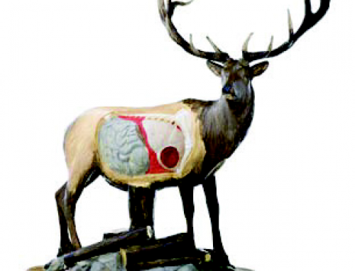 NBEF Introduces Mini 3D Elk Model to  Teach Hunters Accurate Shot Placement
